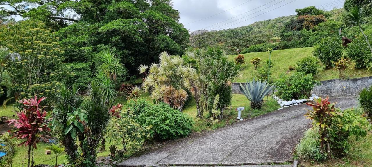 Hotel La Rana De Arenal Nuevo Arenal Exterior photo